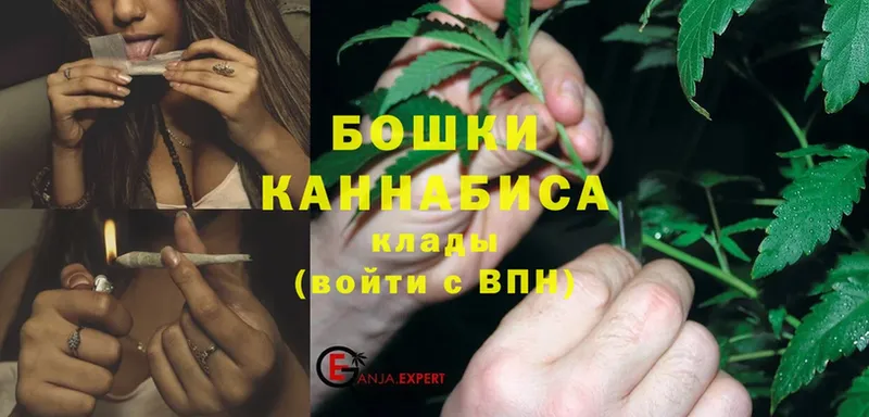 кракен онион  сколько стоит  Фролово  Бошки марихуана Amnesia 